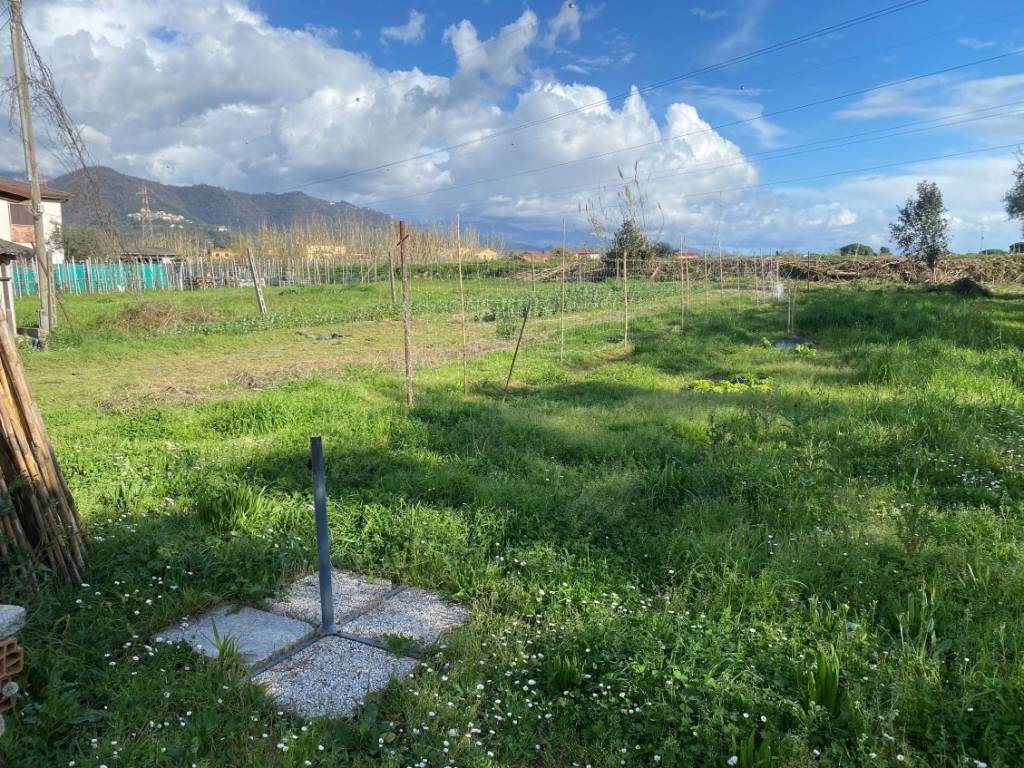 Villa a Castelnuovo magra in Via Borgolo, 79 - Foto 5