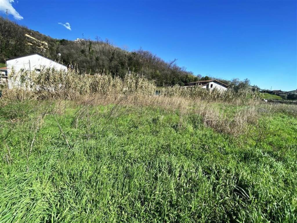 Terreno a Luni in Via Caffaggiola, 26 - Foto 3