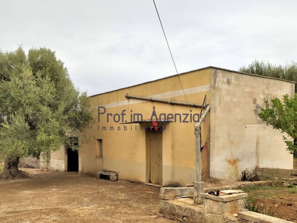 Rustico / casale a Ceglie messapica - Foto 5