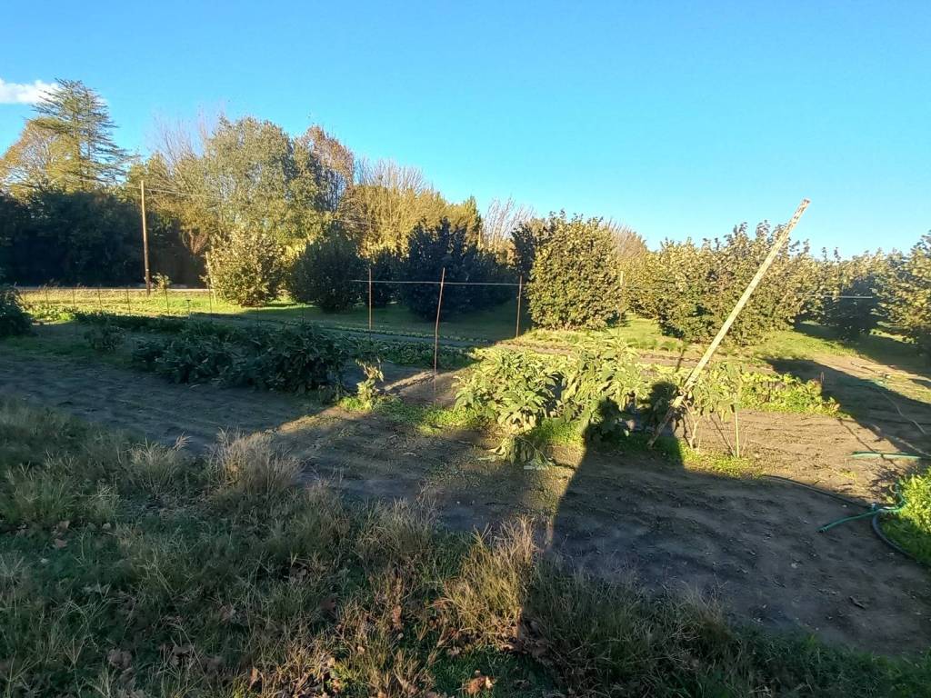 Villa a Ravenna in Carraia Sorboli - Foto 5