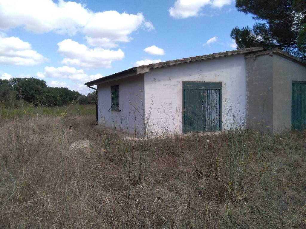 Terreno a Piombino in Località Riotorto Vecchio - Foto 2