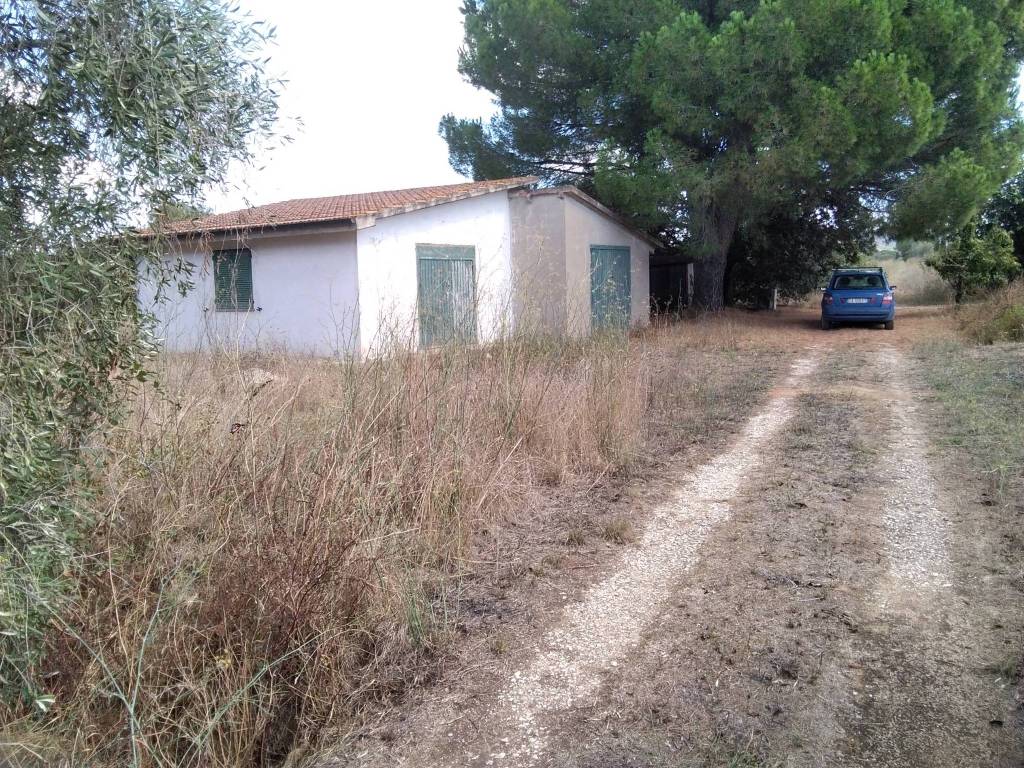 Terreno a Piombino in Località Riotorto Vecchio - Foto 3