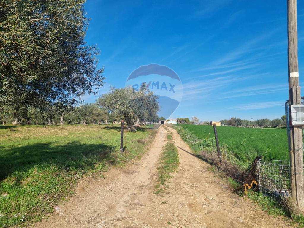 Casa indipendente a Chiaramonte gulfi in contrada dicchiara - Foto 2
