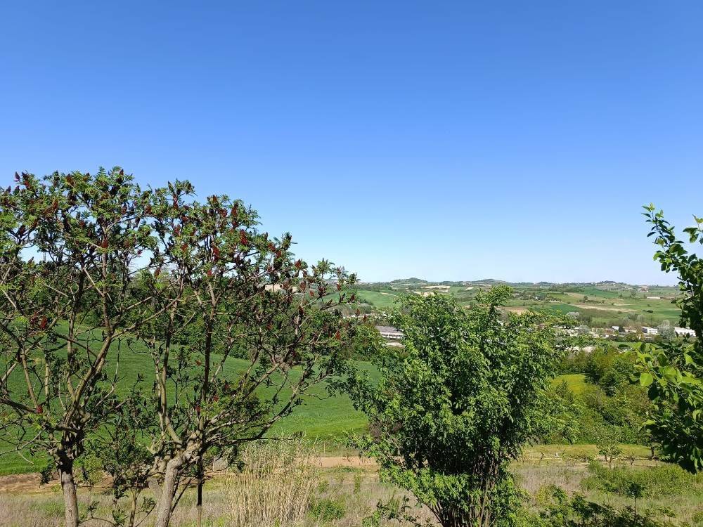 Rustico / casale a Castell'alfero in Via Asti, 17 - Foto 5