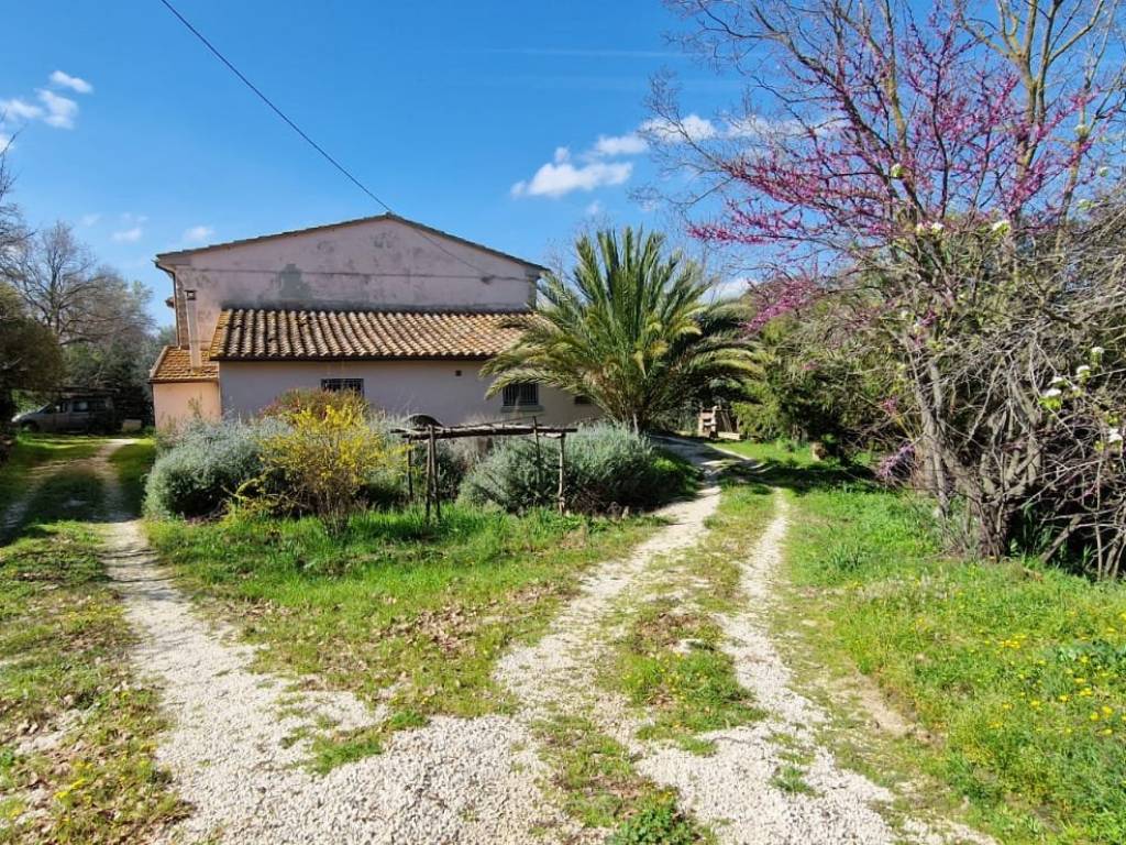 Rustico / casale a Manciano - Foto 2