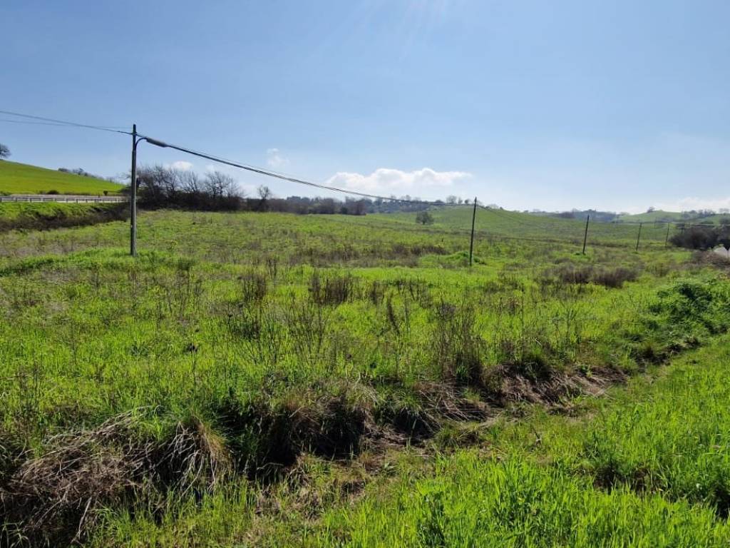 Rustico / casale a Manciano - Foto 4