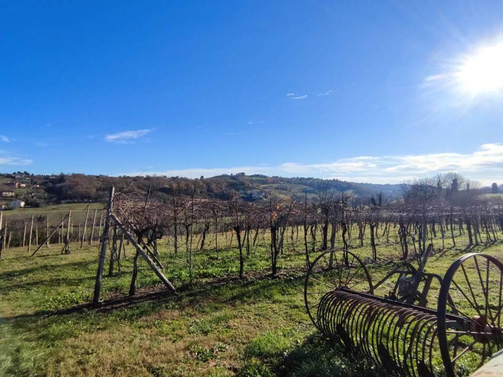 Rustico / casale a Fara vicentino - Foto 4