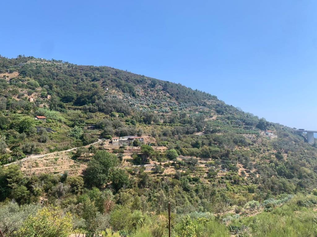 Villa a Bordighera in Via Generale Vincenzo Rossi, 128 - Foto 3