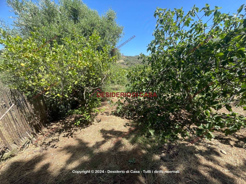 Terreno a Bagheria in Strada Provinciale della Traversa - Foto 3