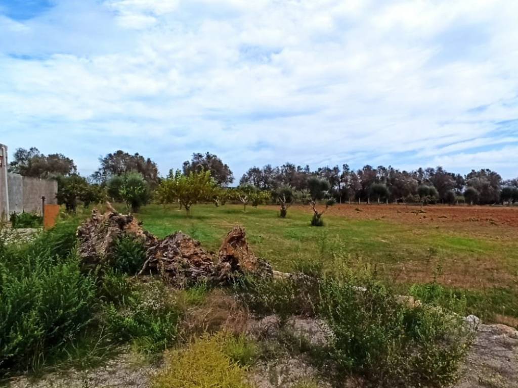 Villa a Francavilla fontana in Contrada Fontanella - Foto 4