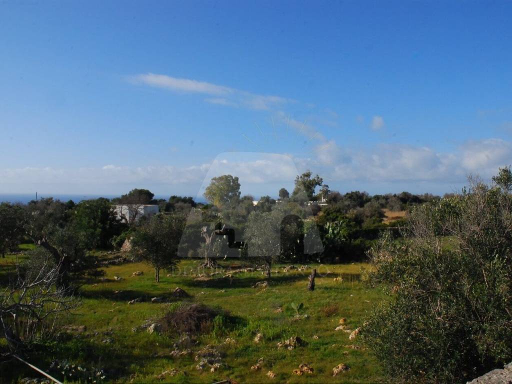 Rustico / casale a Morciano di leuca in Strada Comunale Nepole - Foto 2