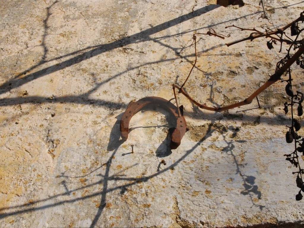 Rustico / casale a Morciano di leuca in Strada Comunale Nepole - Foto 3