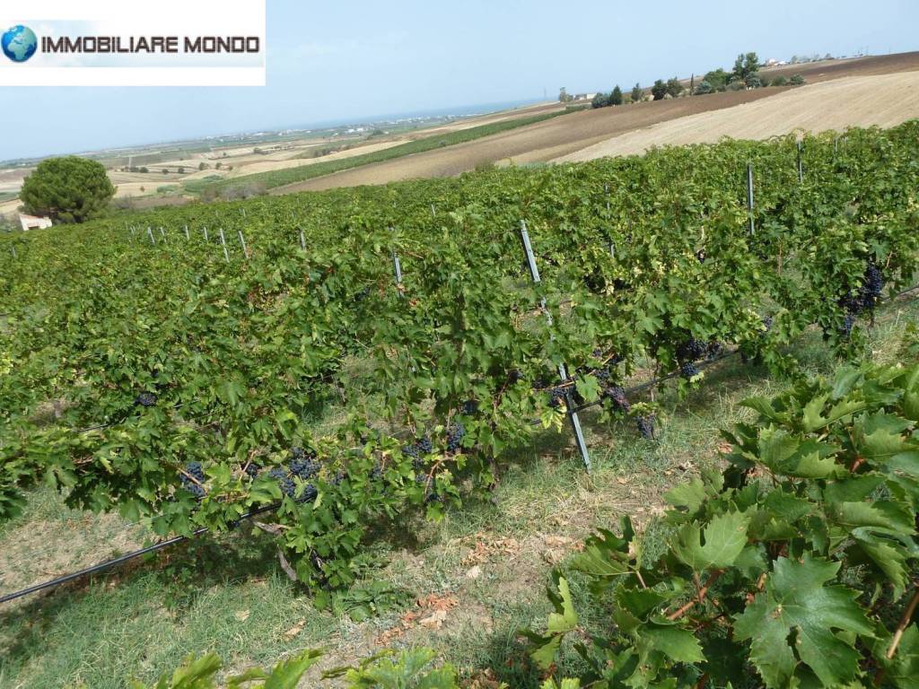 Terreno a Portocannone - Foto 2