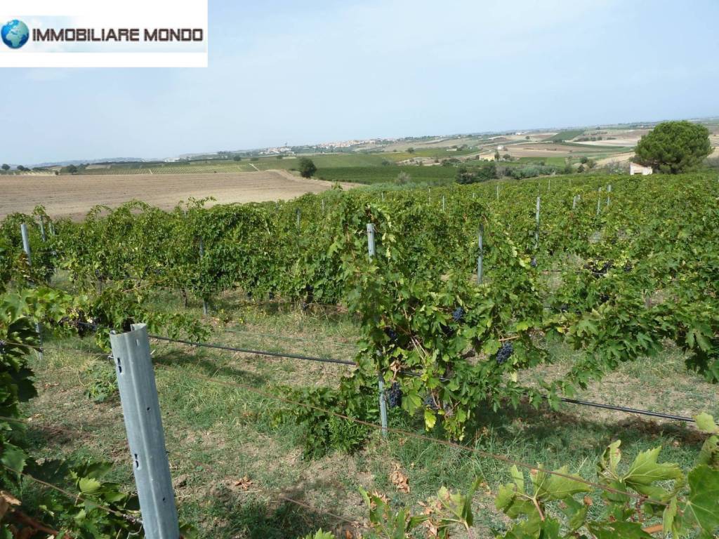 Terreno a Portocannone - Foto 3