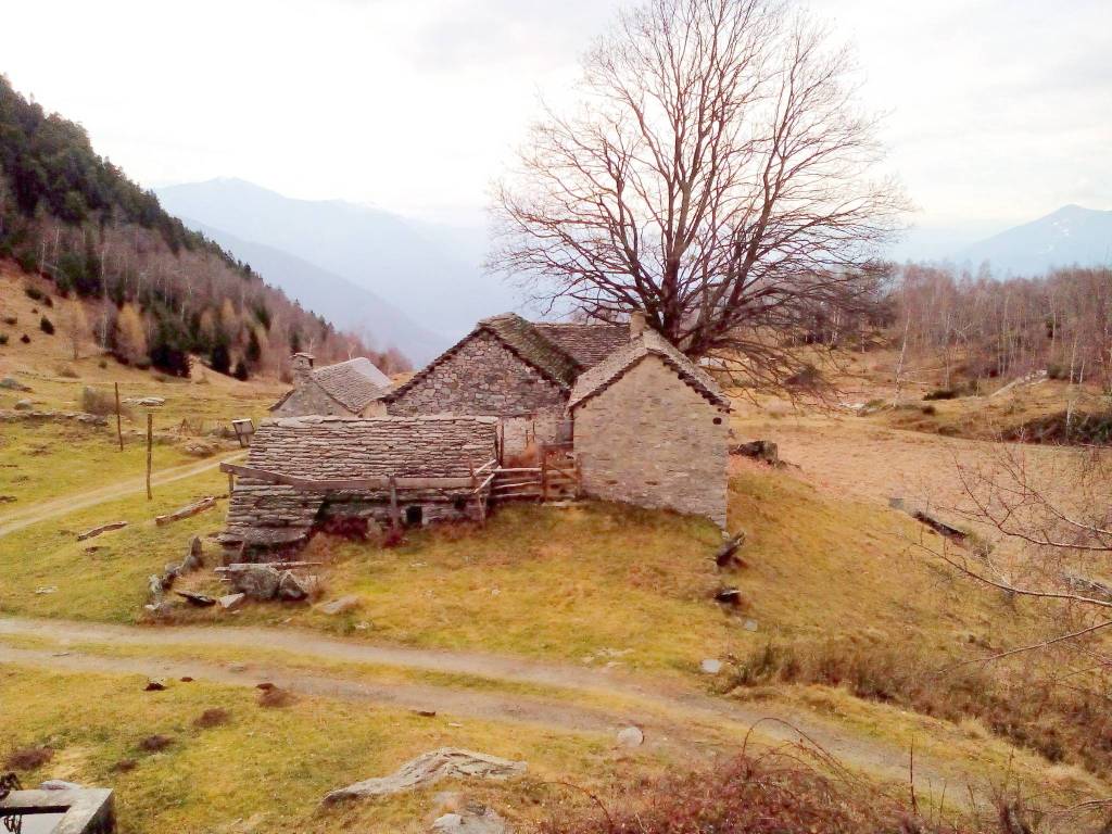 Rustico / casale a Crevoladossola in Via Alpe Alagua - Foto 3