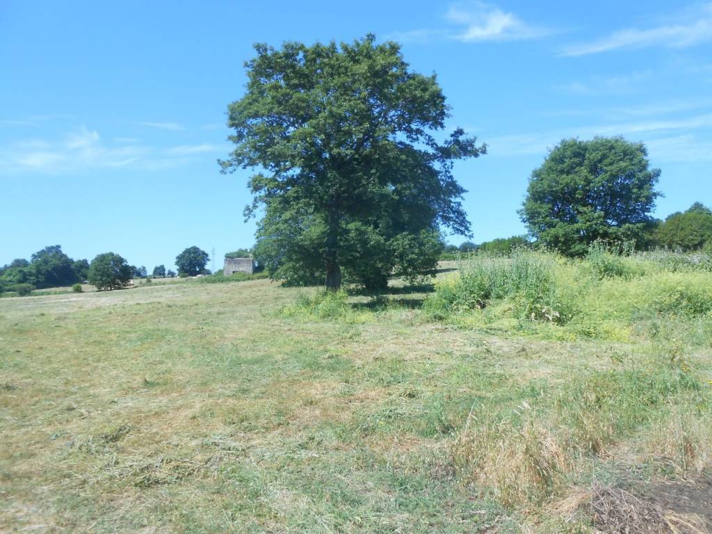 Terreno a Bracciano in Via Montebello - Foto 5
