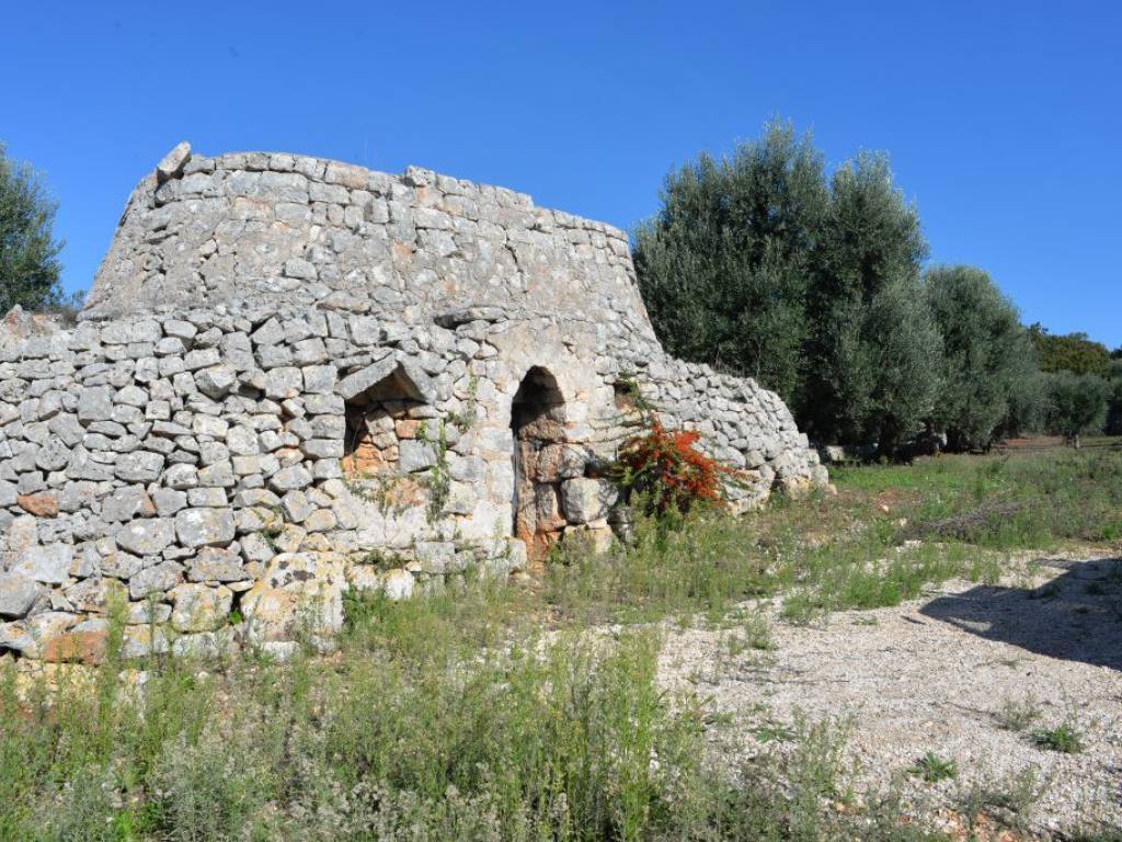 Rustico / casale a Ostuni in Contrada Cinera - Foto 3