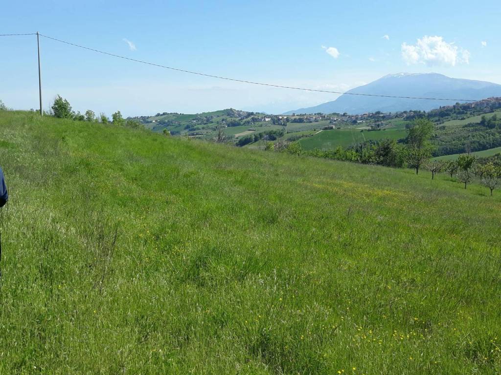 Terreno a Castignano in Strada Provinciale Castignanese - Foto 2