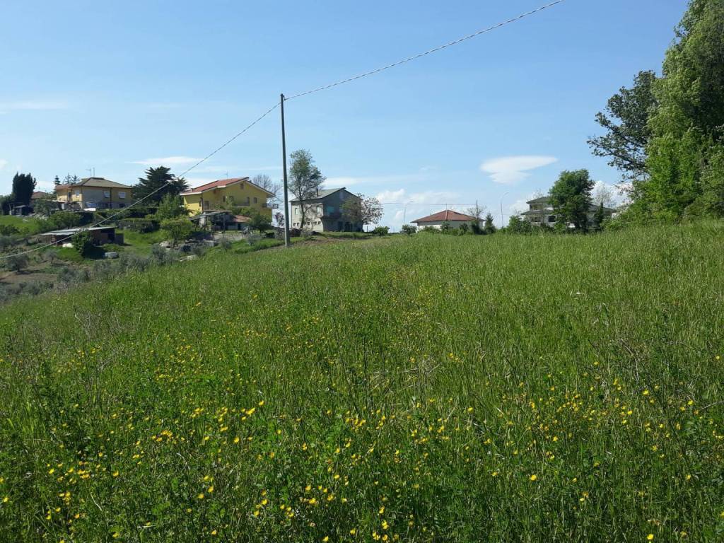 Terreno a Castignano in Strada Provinciale Castignanese - Foto 3