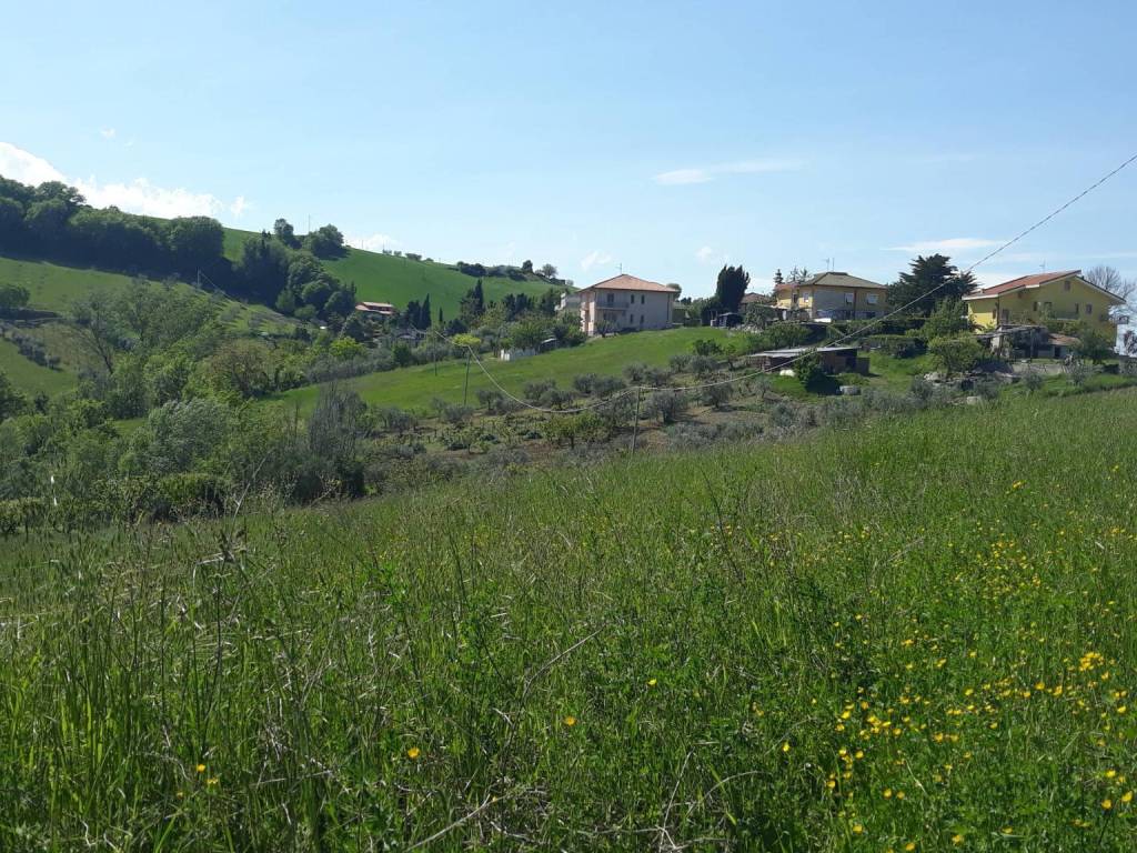 Terreno a Castignano in Strada Provinciale Castignanese - Foto 4