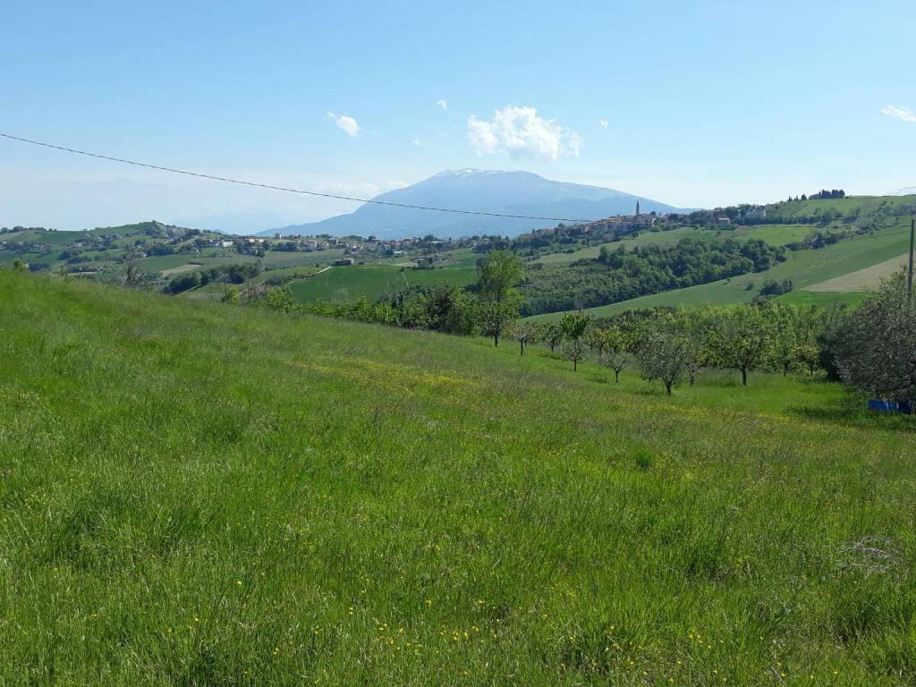 Terreno a Castignano in Strada Provinciale Castignanese - Foto 5
