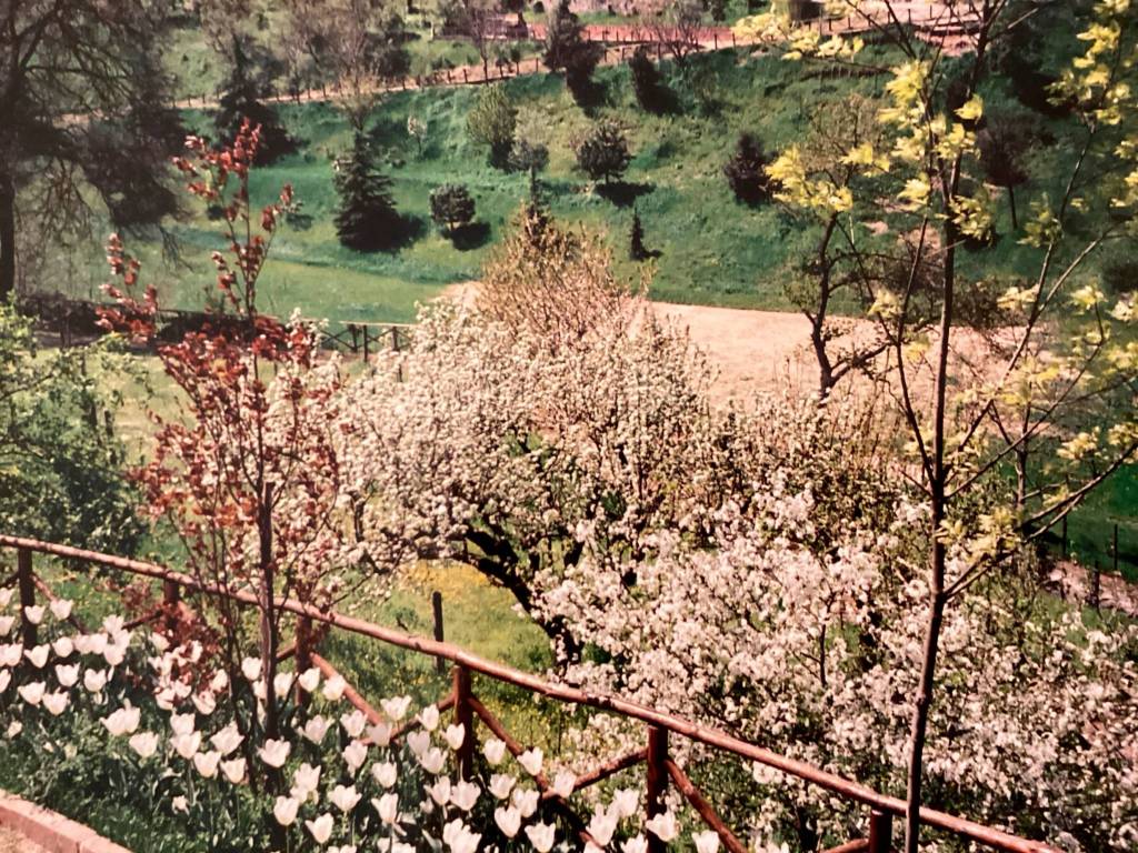 Villa a Serravalle scrivia in Via Cappellezza, 24 - Foto 5