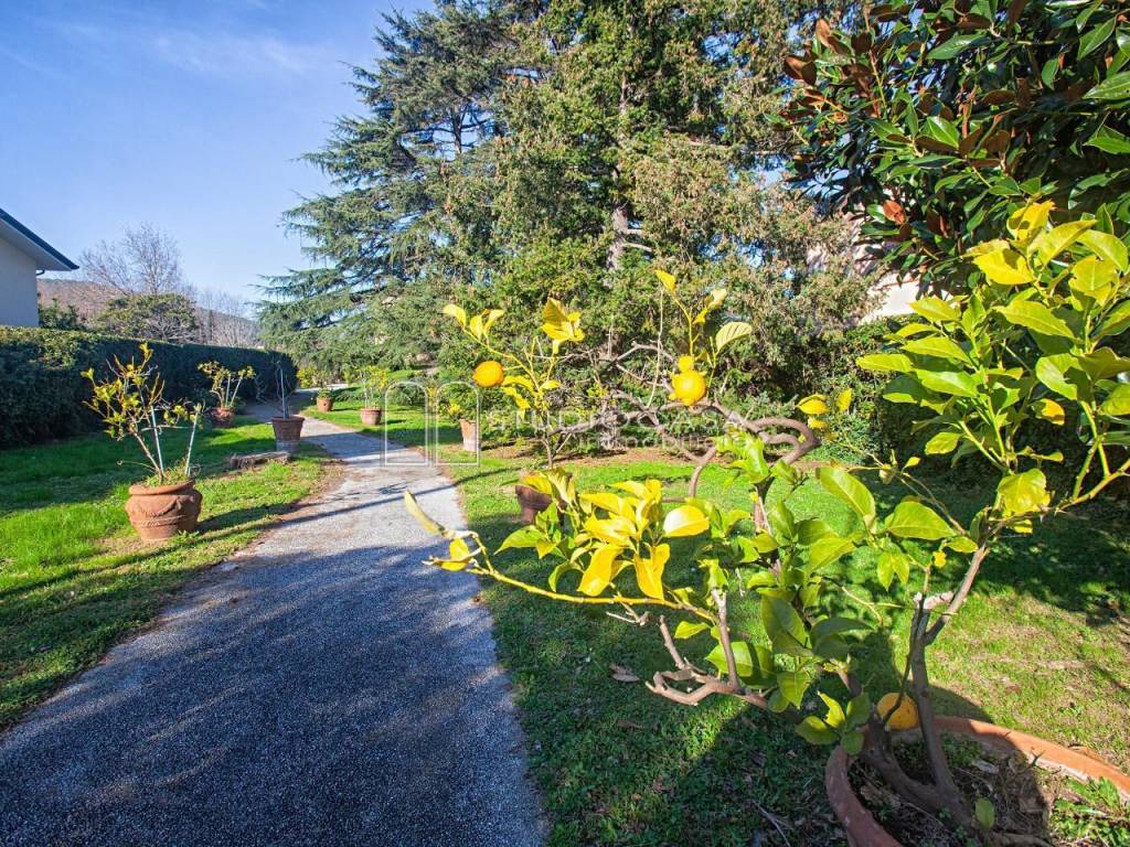 Villa a San giuliano terme in Via A. De Gasperi, - Foto 2
