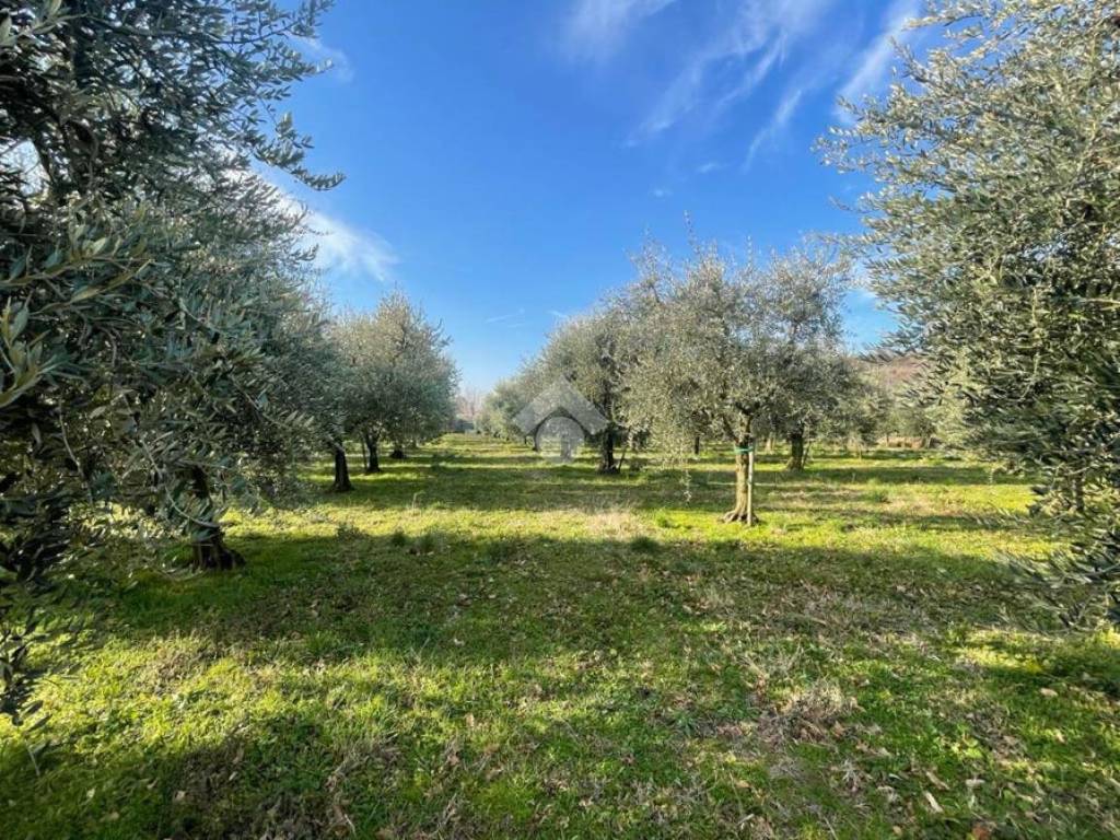 Terreno a Manerba del garda in Via della Rocca - Foto 2