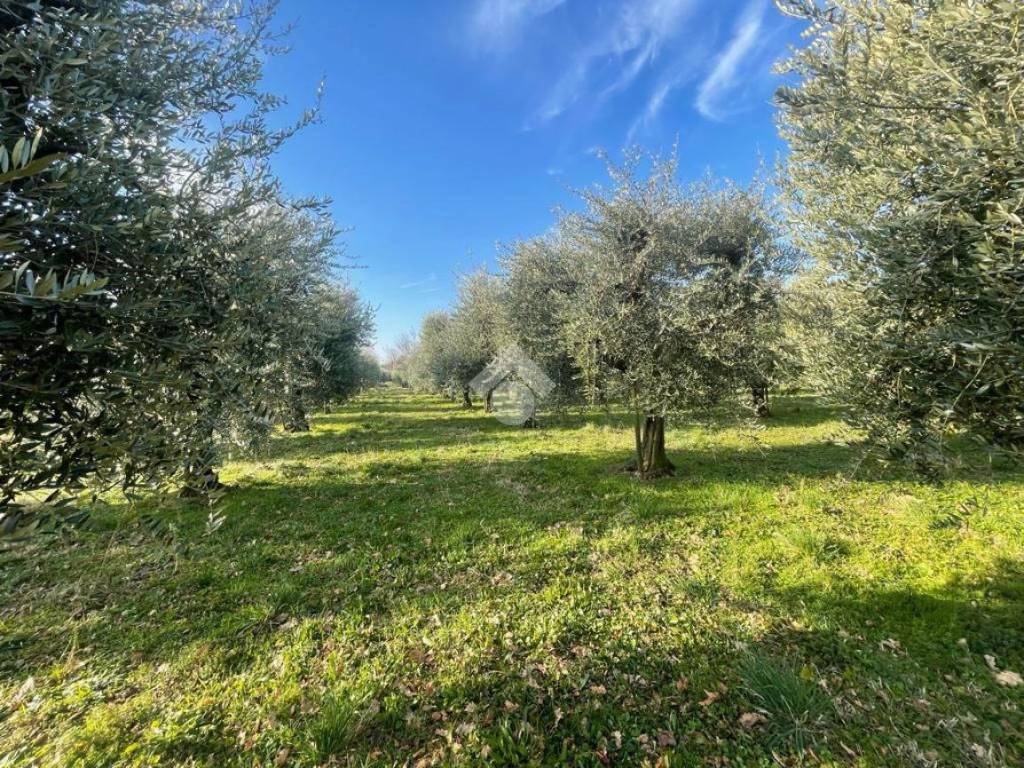 Terreno a Manerba del garda in Via della Rocca - Foto 4