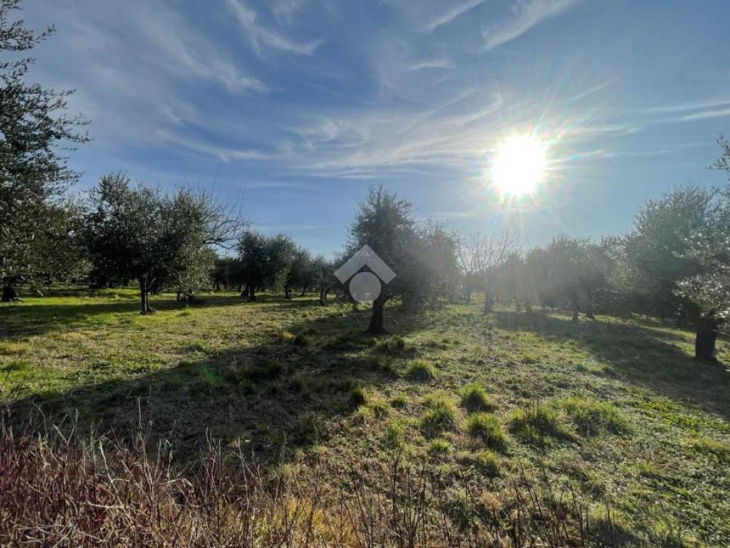 Terreno a Manerba del garda in Via della Rocca - Foto 5