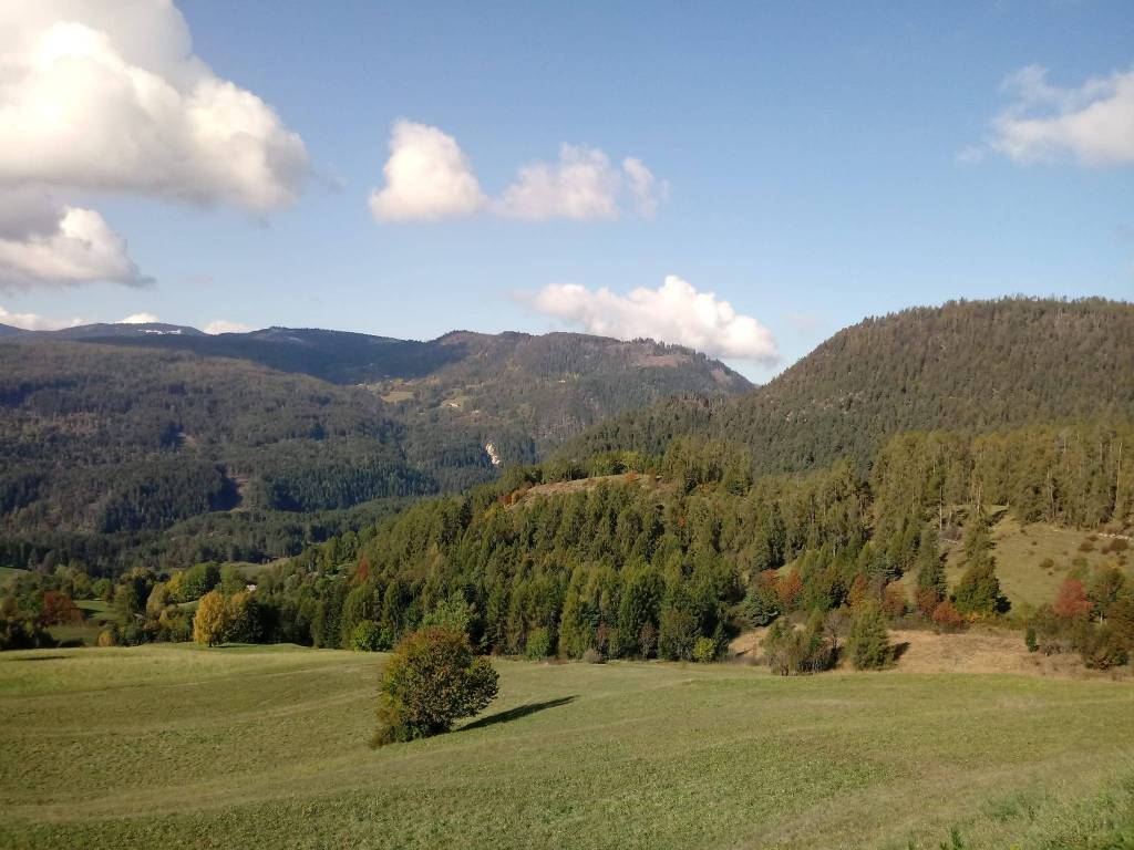 Appartamento a Cavalese - Foto 5