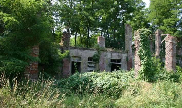Rustico / casale a Vellezzo bellini in Localita' Pellegrina - Foto 2