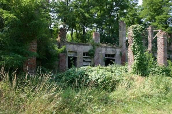 Rustico / casale a Vellezzo bellini in Localita' Pellegrina - Foto 4