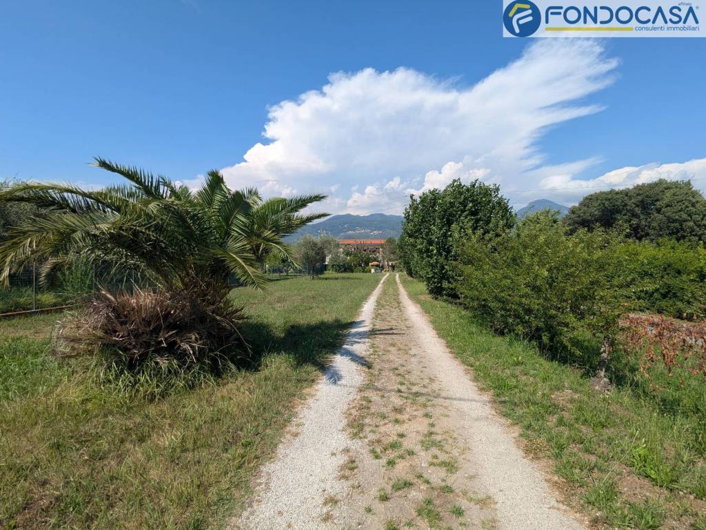 Rustico / casale a Pietrasanta in Via Padule - Foto 2