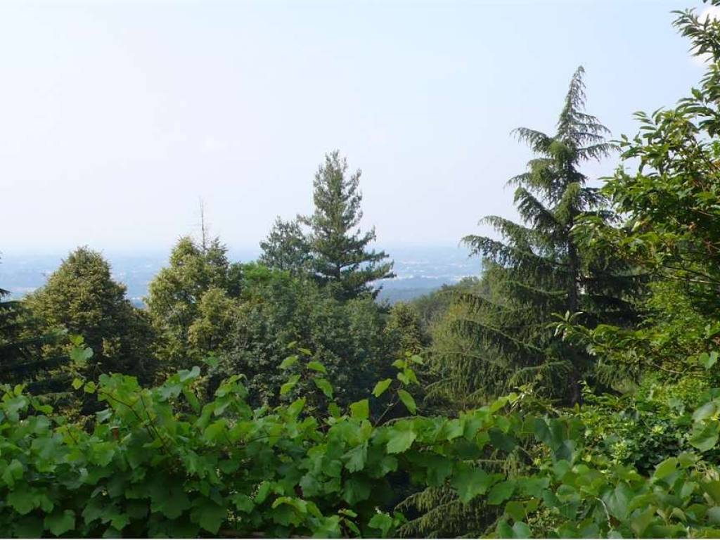 Terreno a Brunate - Foto 2