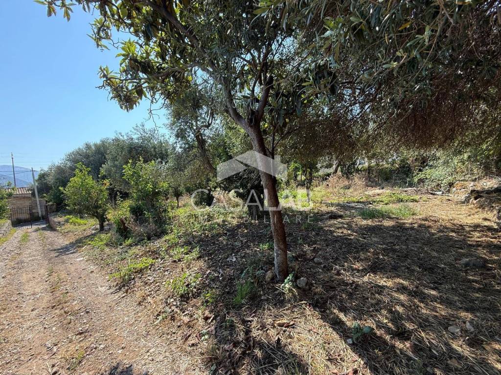 Terreno a Carini in Via Aldo Moro - Foto 4