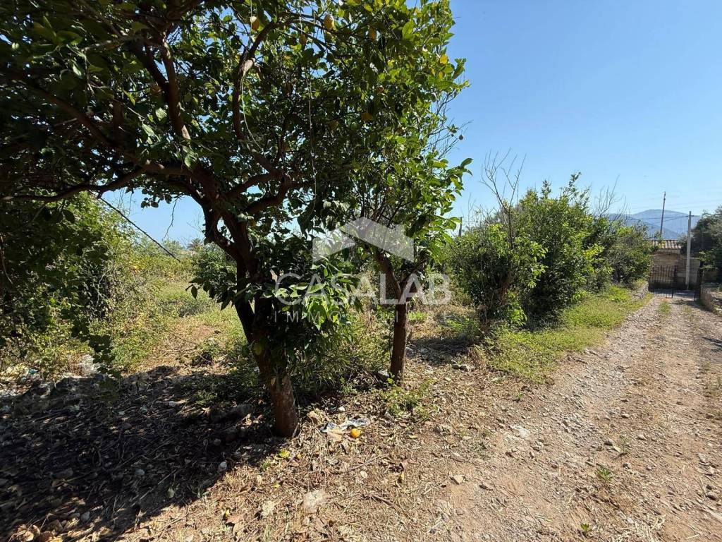 Terreno a Carini in Via Aldo Moro - Foto 5