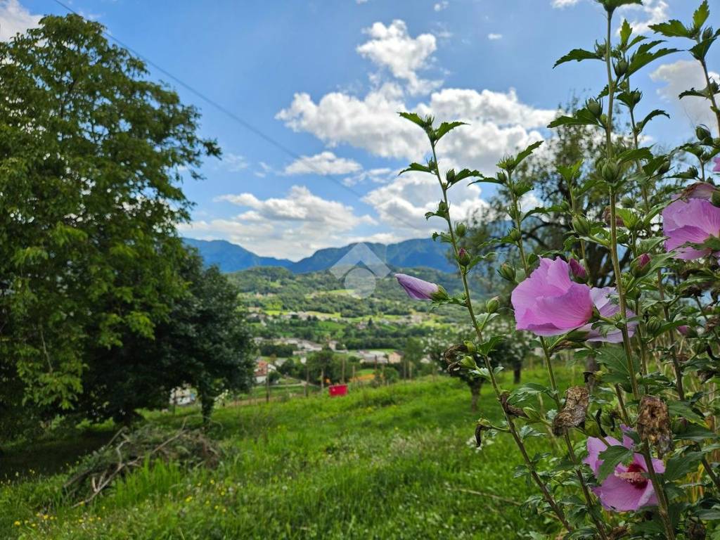 Casa indipendente a Feltre in Via Cart, 38 - Foto 3