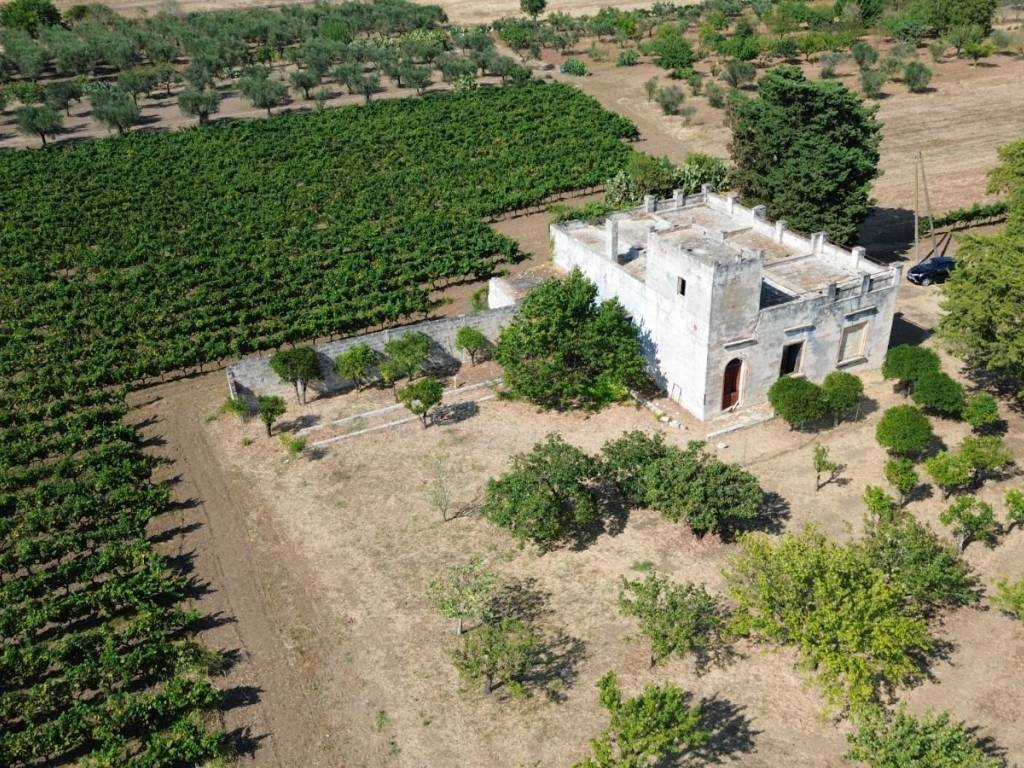 Villa a Salice salentino in SP17 - Foto 3
