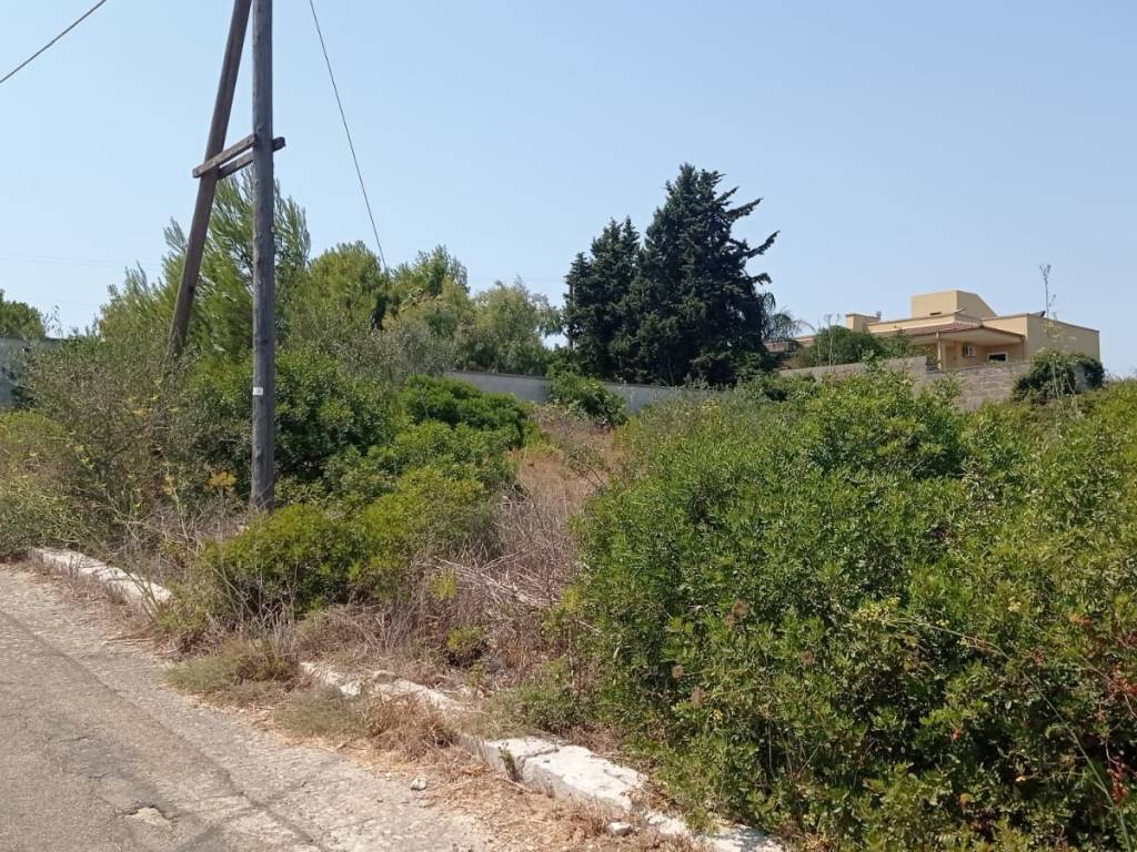 Terreno a Alessano in Via Lazio - Foto 3