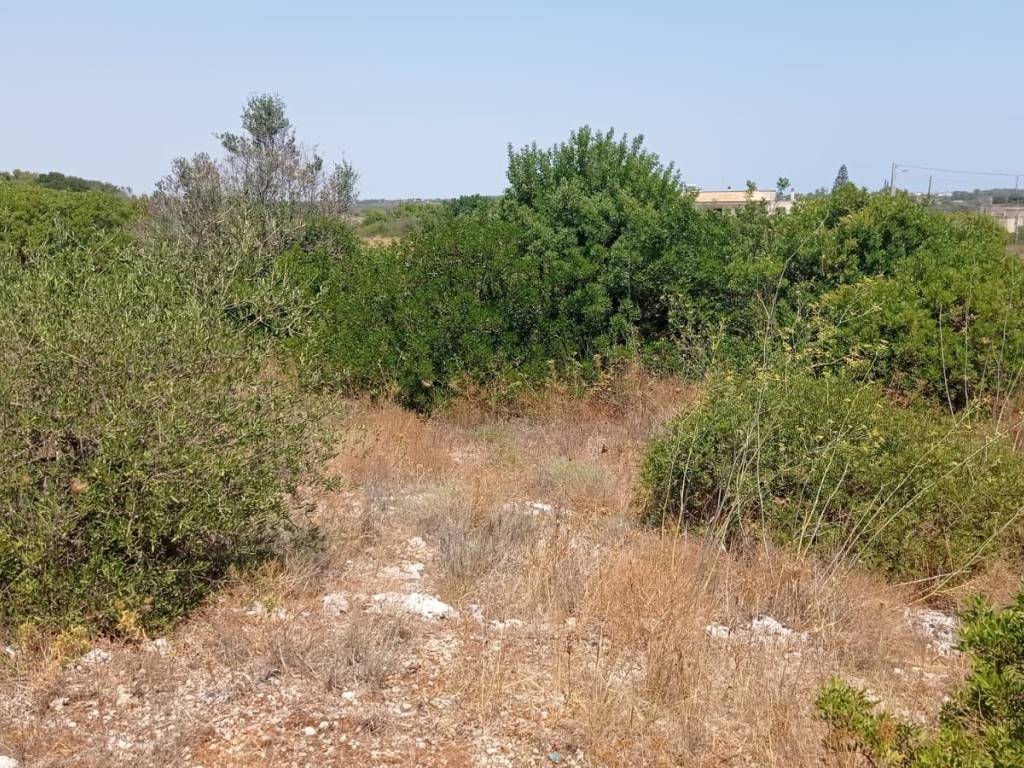 Terreno a Alessano in Via Lazio - Foto 5