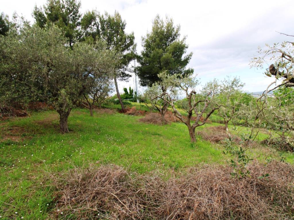 Terreno a Sant'elpidio a mare in Via Fonte di Mare - Foto 3