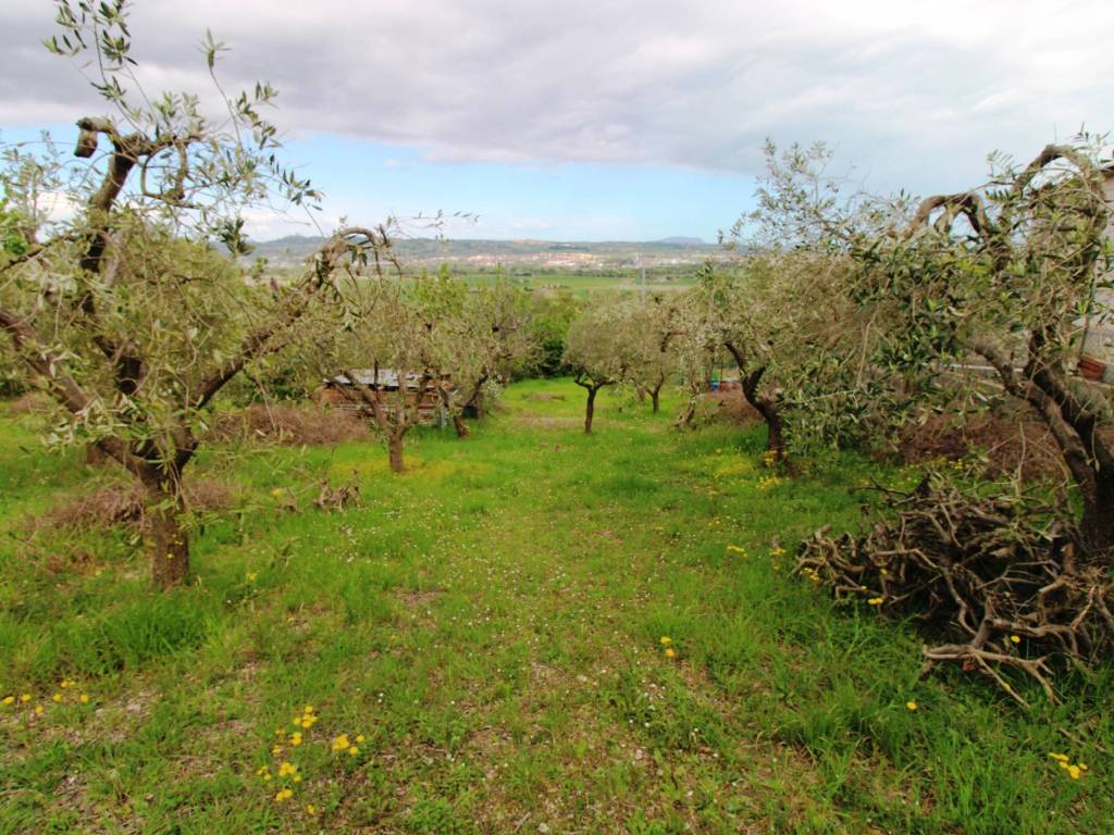 Terreno a Sant'elpidio a mare in Via Fonte di Mare - Foto 4
