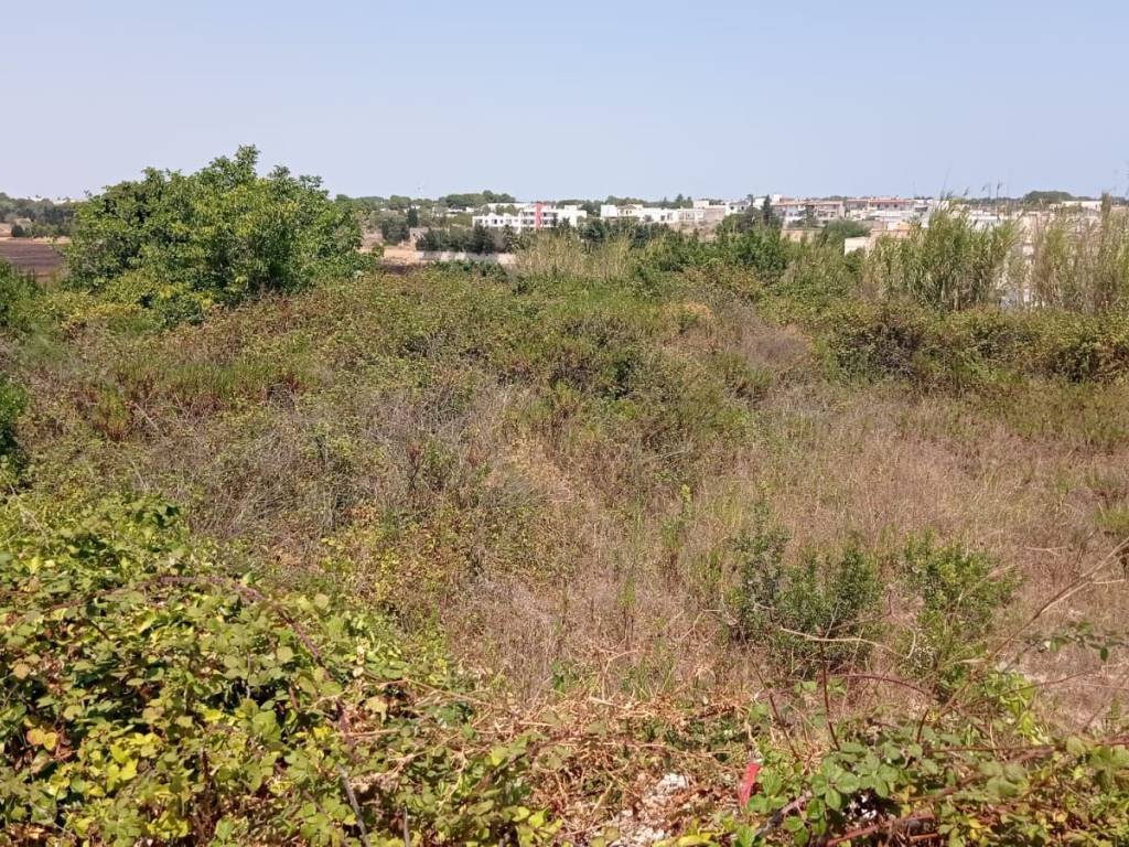 Terreno a Alessano in Contrada Boceti - Foto 2