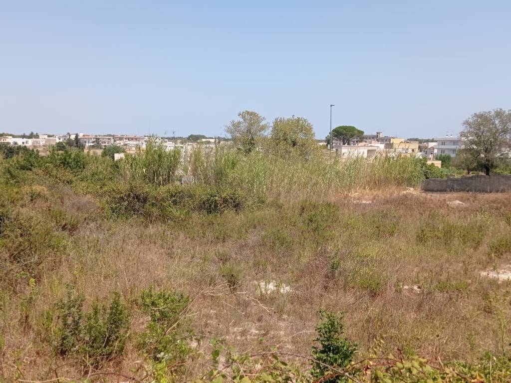 Terreno a Alessano in Contrada Boceti - Foto 3