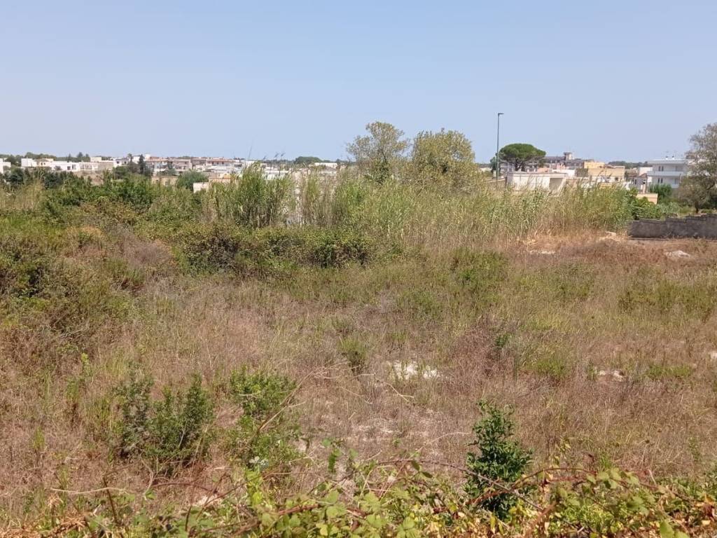 Terreno a Alessano in Contrada Boceti - Foto 4