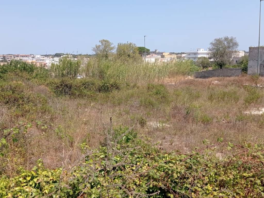 Terreno a Alessano in Contrada Boceti - Foto 5