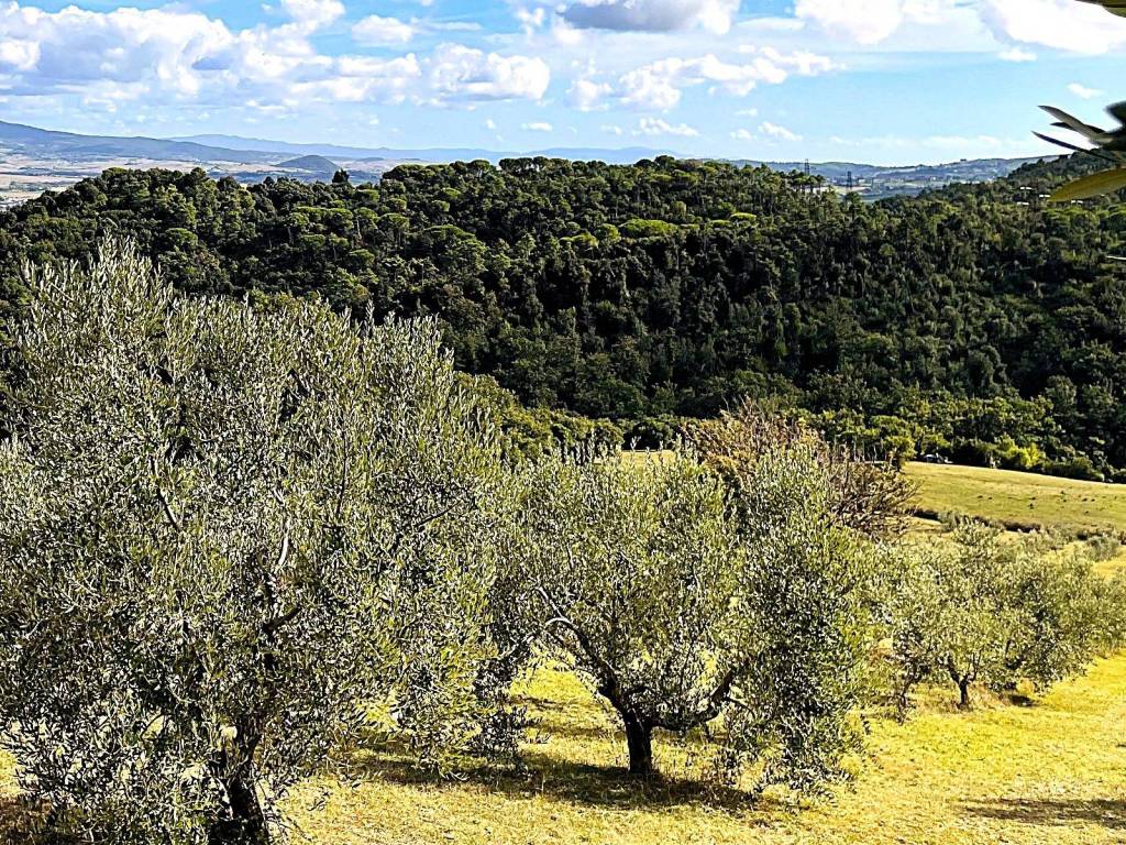 Terreno a Rosignano marittimo in Località di Popogna la Concezione, 35 - Foto 4