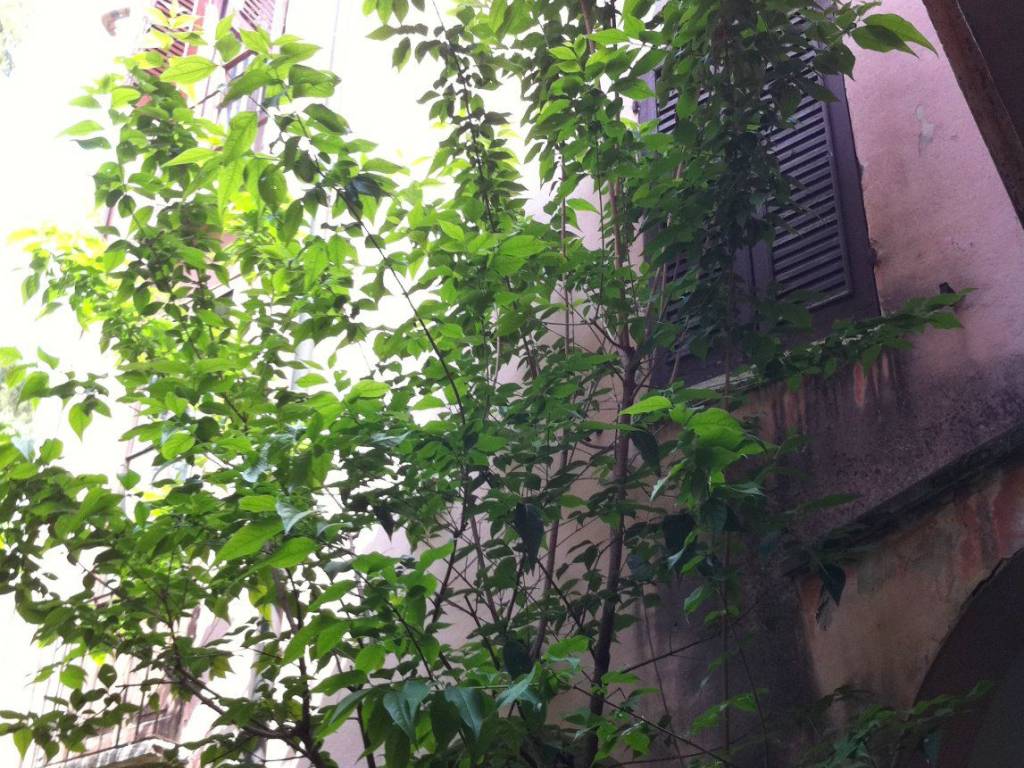 Casa indipendente a Mantova in Via Giovanni Arrivabene - Foto 3