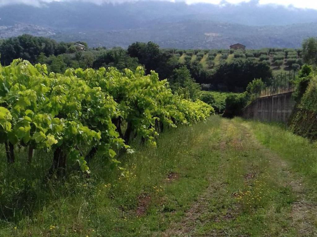 Villa a Cori - Foto 4